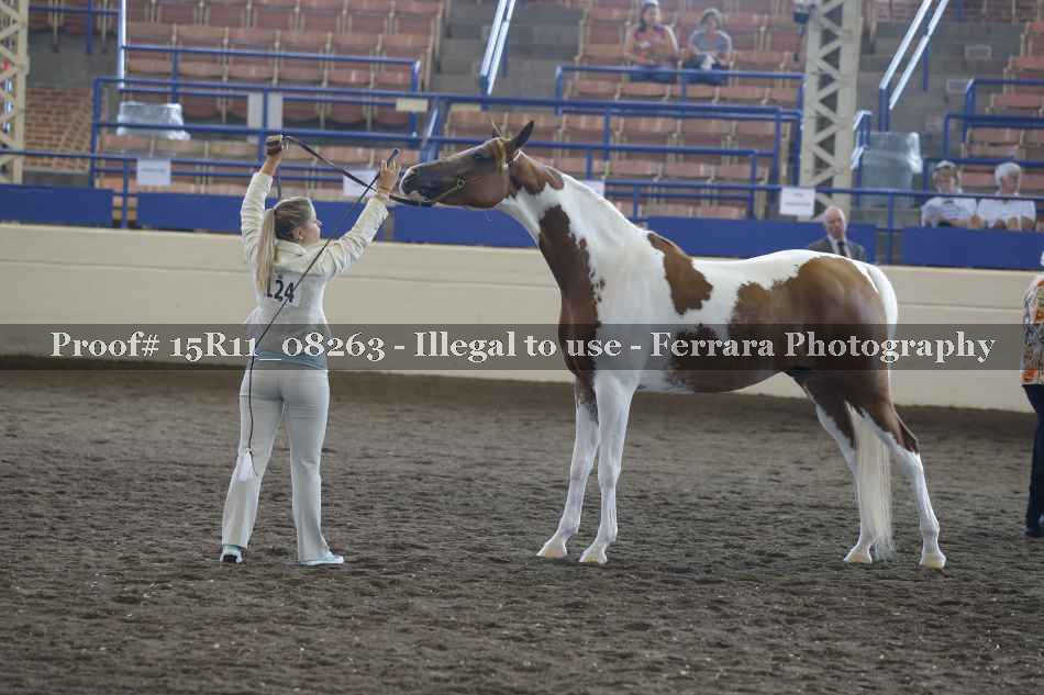 Proof 15R11_08263
