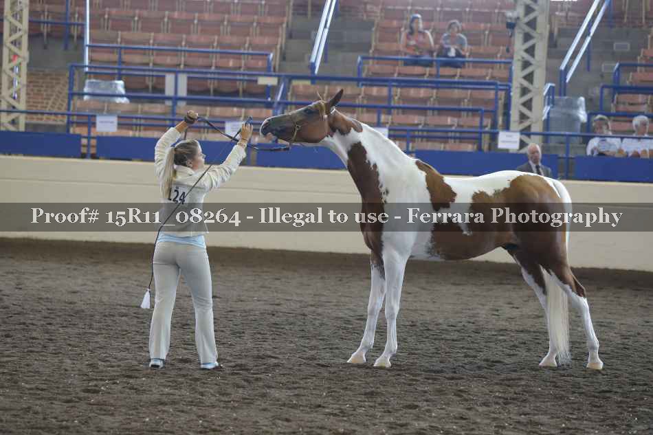 Proof 15R11_08264