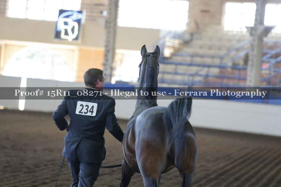 Proof 15R11_08271