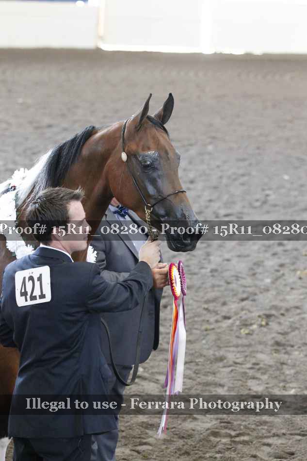 Proof 15R11_08280