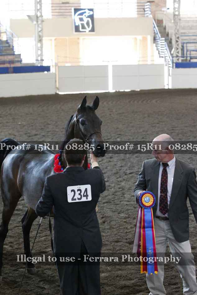 Proof 15R11_08285