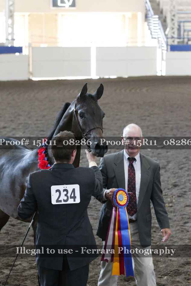 Proof 15R11_08286