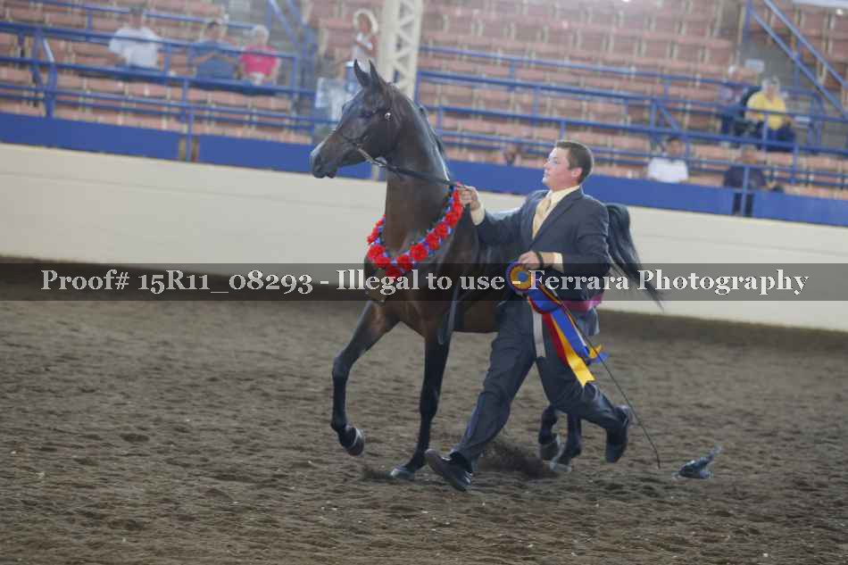 Proof 15R11_08293