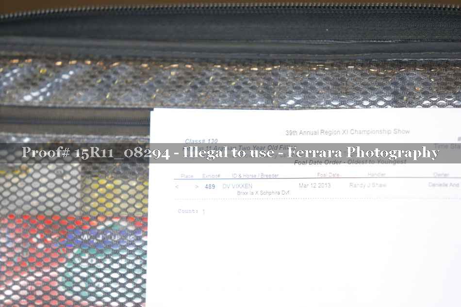 Proof 15R11_08294