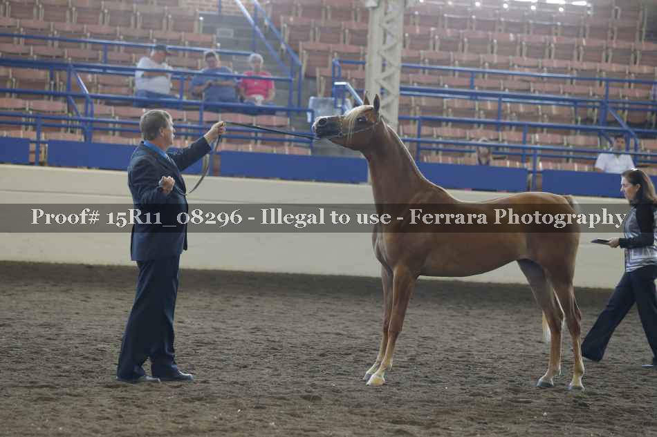 Proof 15R11_08296