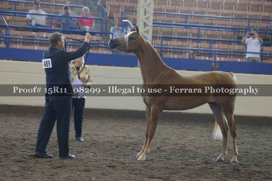 Proof 15R11_08299