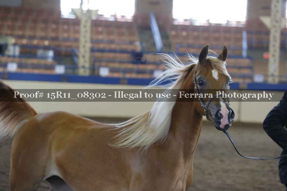 Proof 15R11_08302