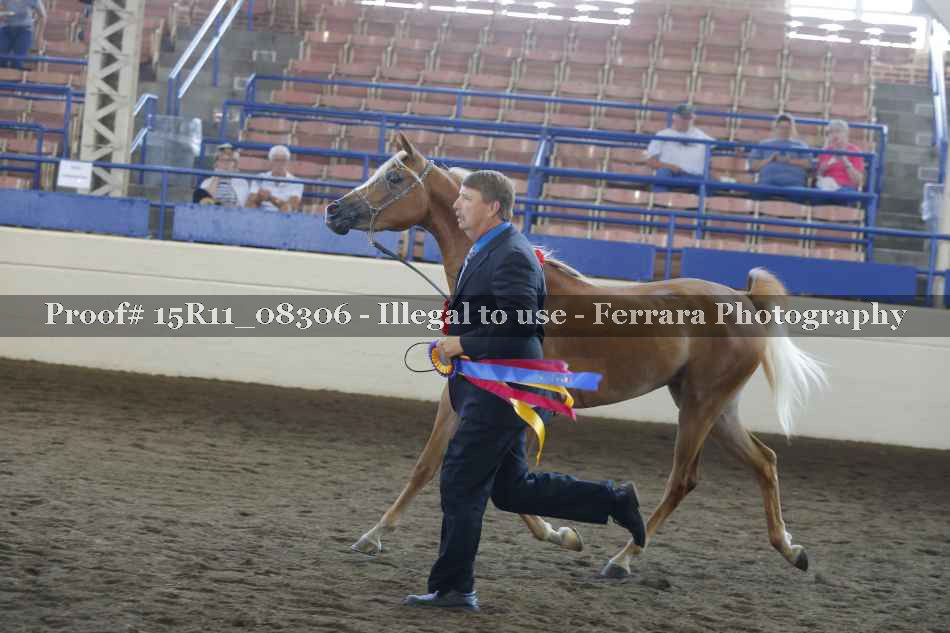 Proof 15R11_08306