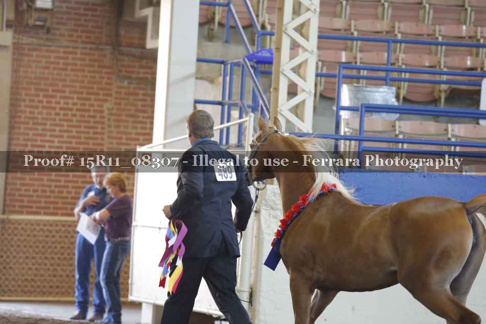 Proof 15R11_08307