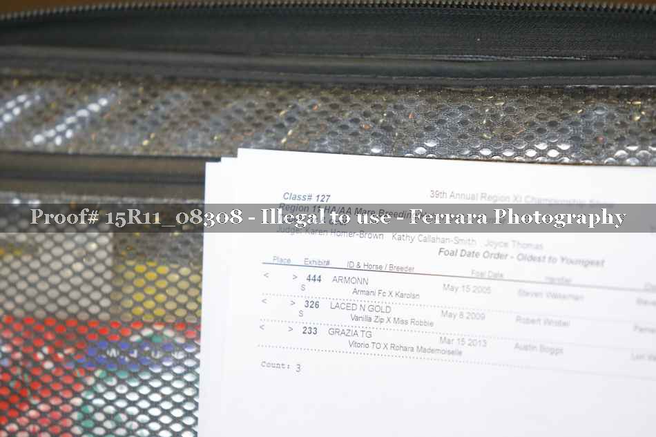 Proof 15R11_08308
