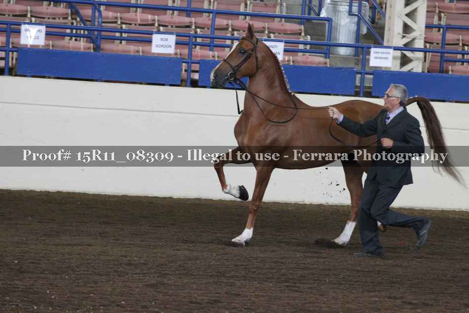 Proof 15R11_08309