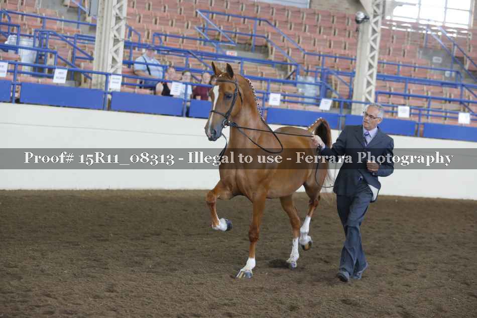 Proof 15R11_08313