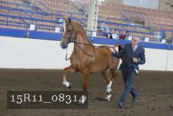 15R11_08314 proof