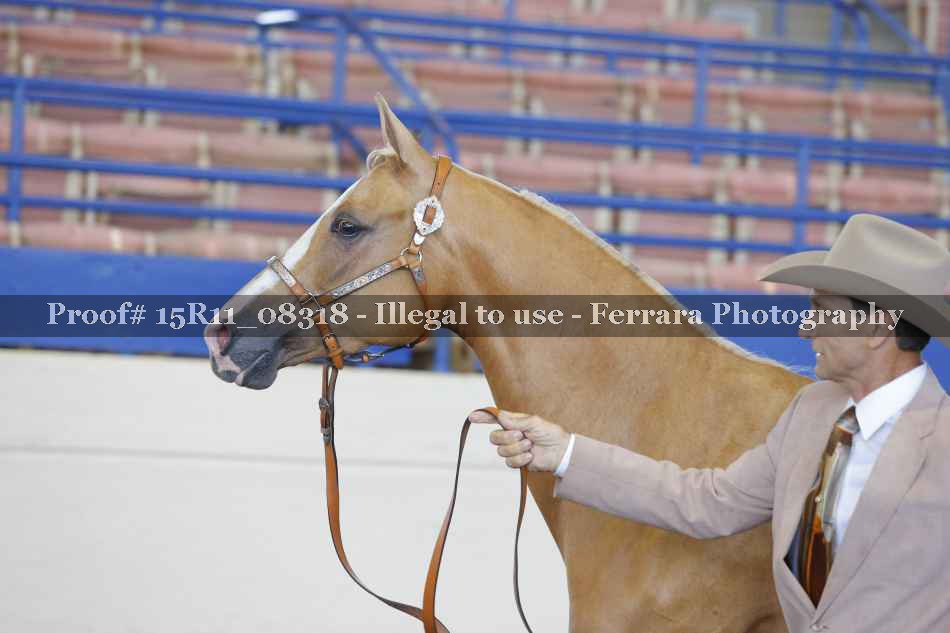 Proof 15R11_08318