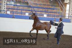 15R11_08319 proof