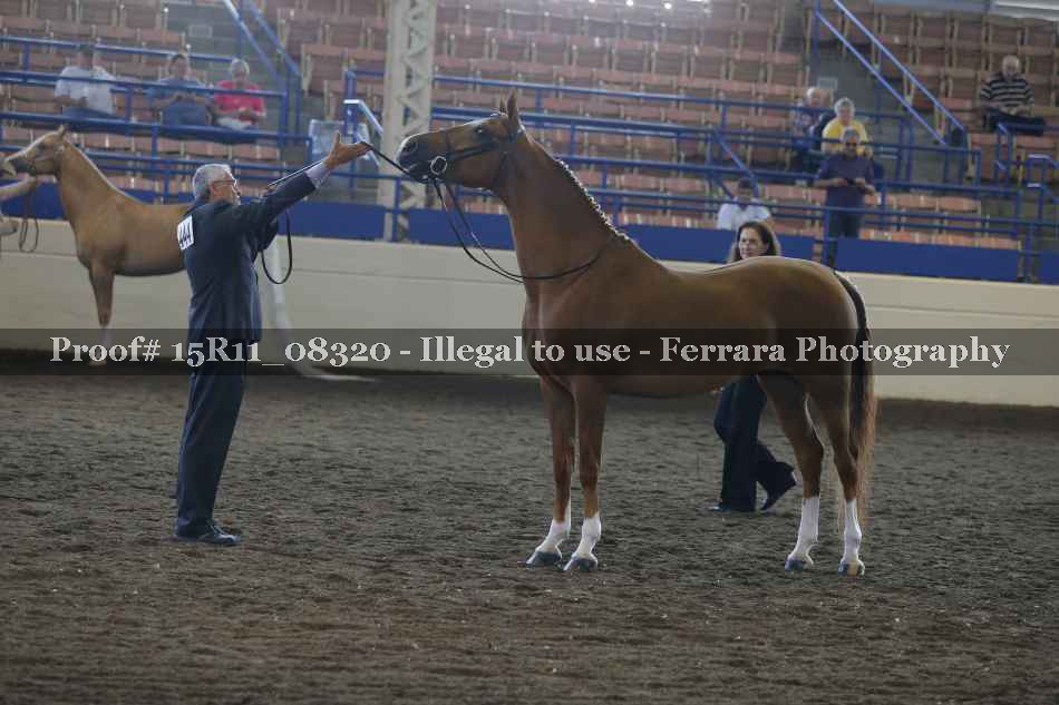 Proof 15R11_08320