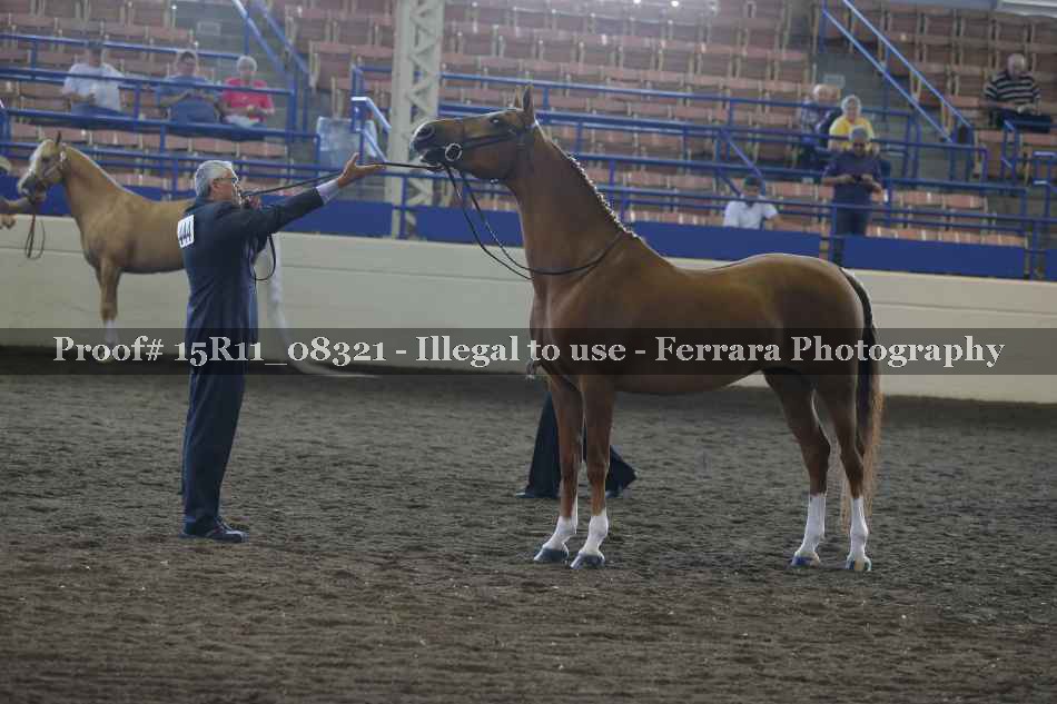 Proof 15R11_08321