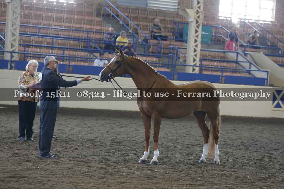 Proof 15R11_08324
