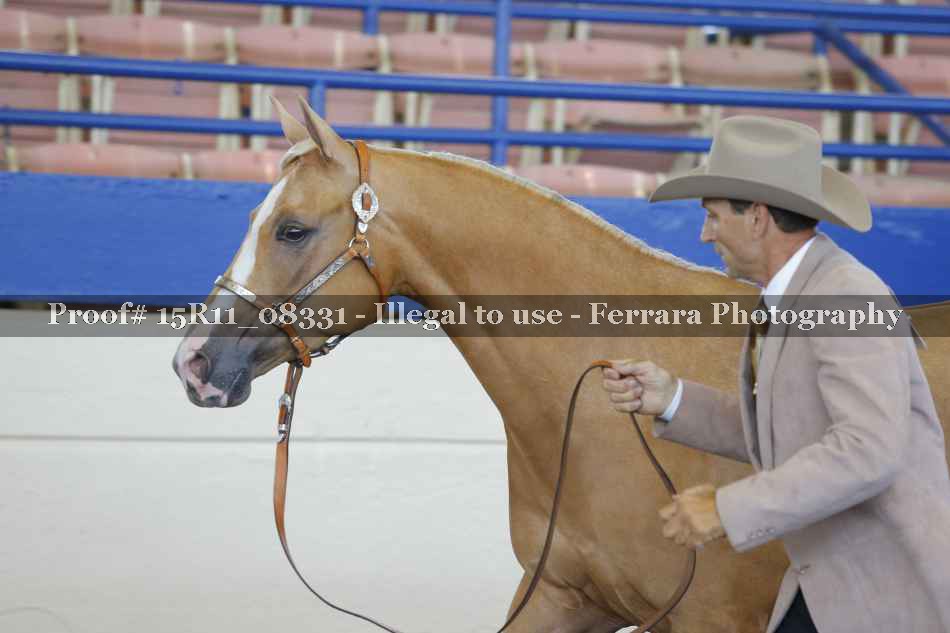 Proof 15R11_08331