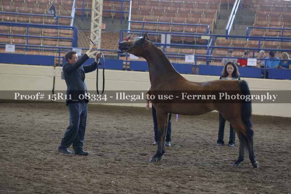 Proof 15R11_08334