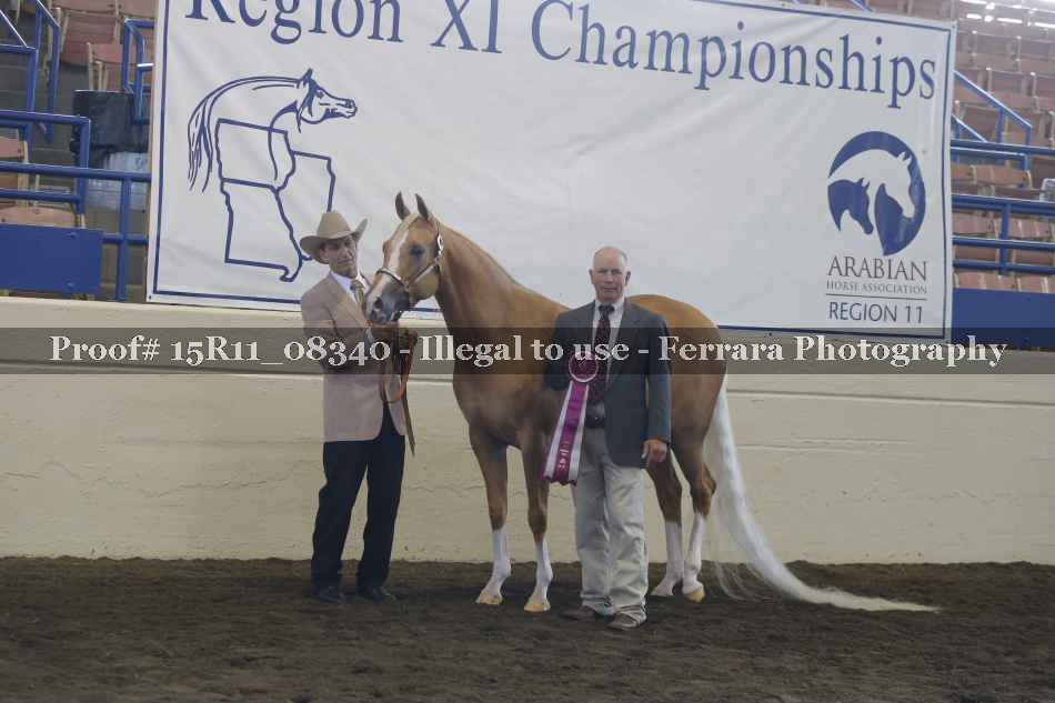 Proof 15R11_08340