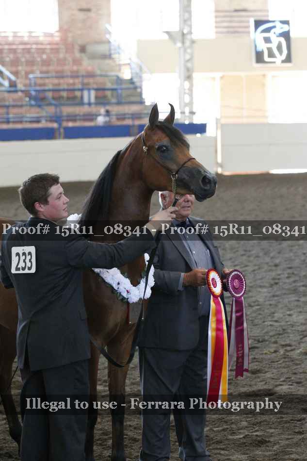 Proof 15R11_08341