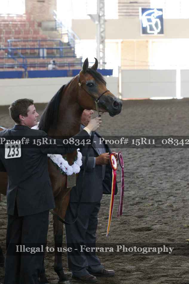 Proof 15R11_08342