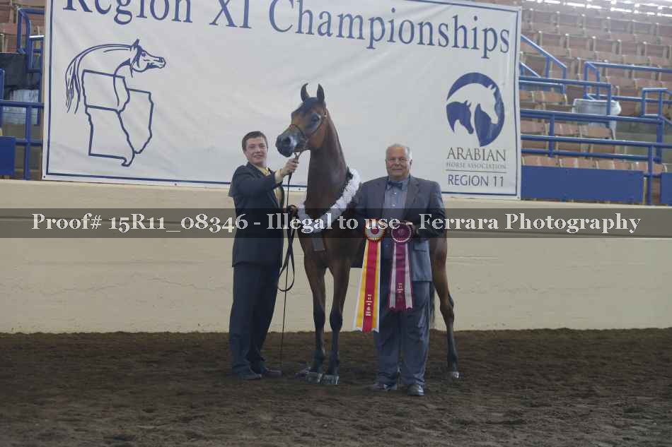 Proof 15R11_08346