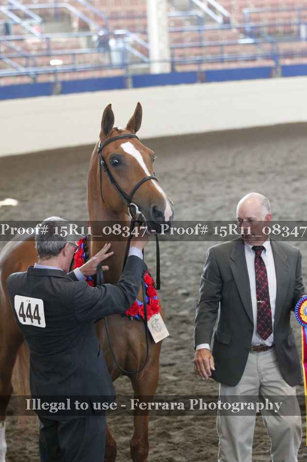 Proof 15R11_08347