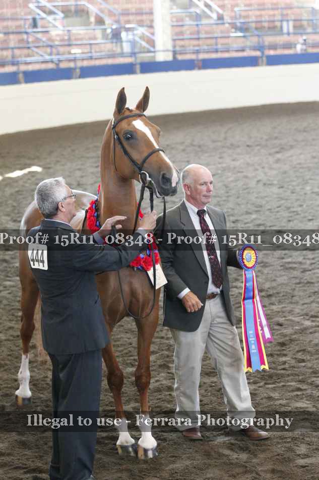 Proof 15R11_08348