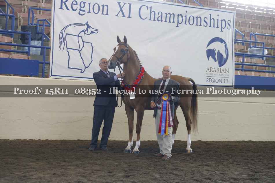 Proof 15R11_08352