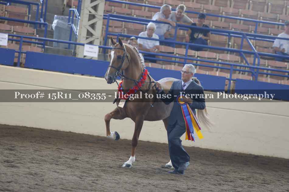 Proof 15R11_08355