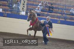 15R11_08355 proof