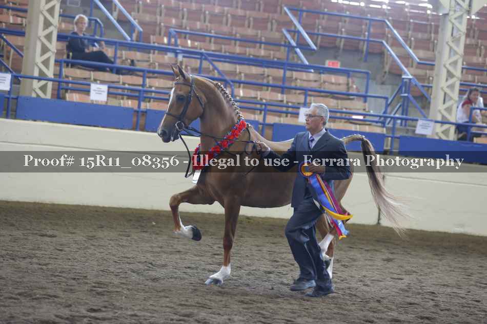 Proof 15R11_08356