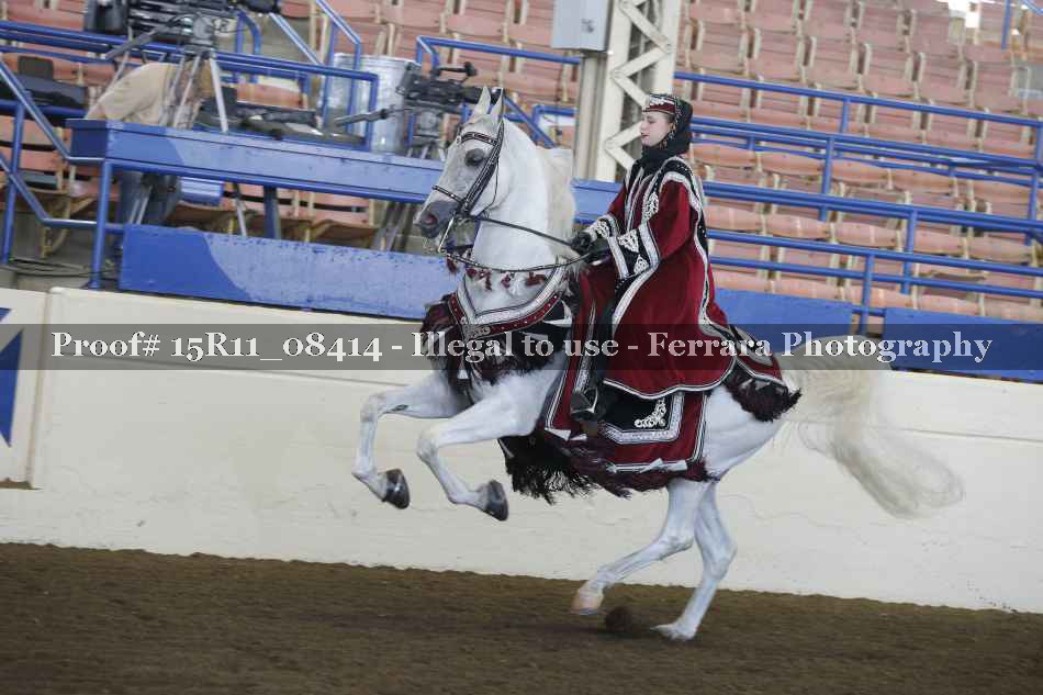 Proof 15R11_08414