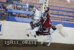 15R11_08414 proof