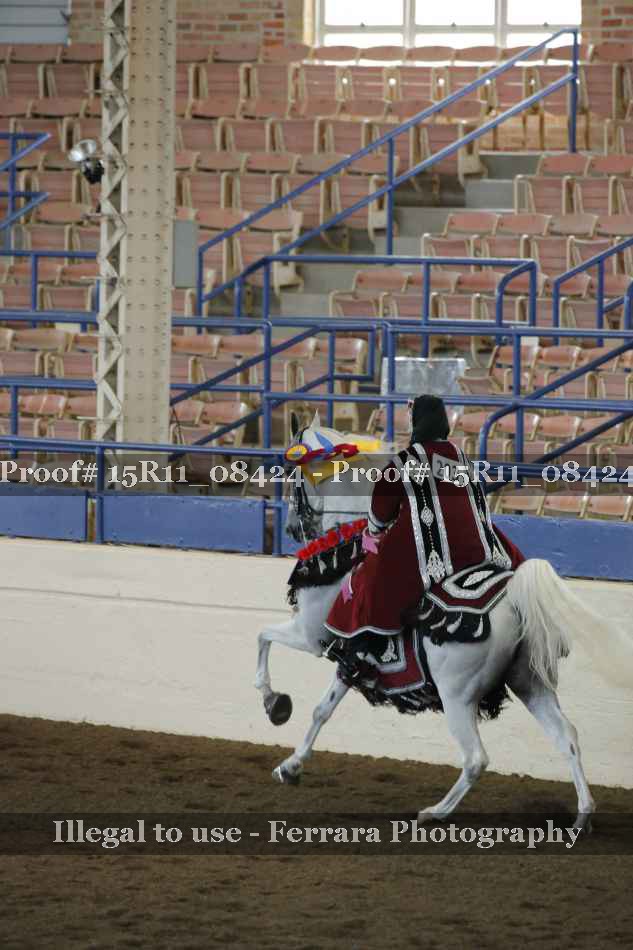 Proof 15R11_08424