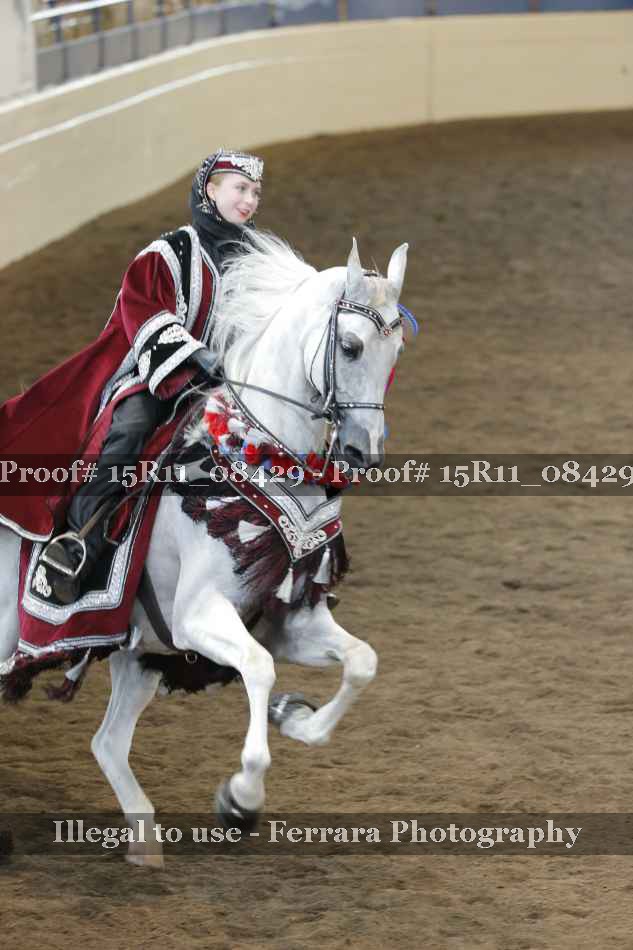 Proof 15R11_08429