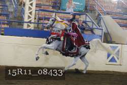 15R11_08433 proof
