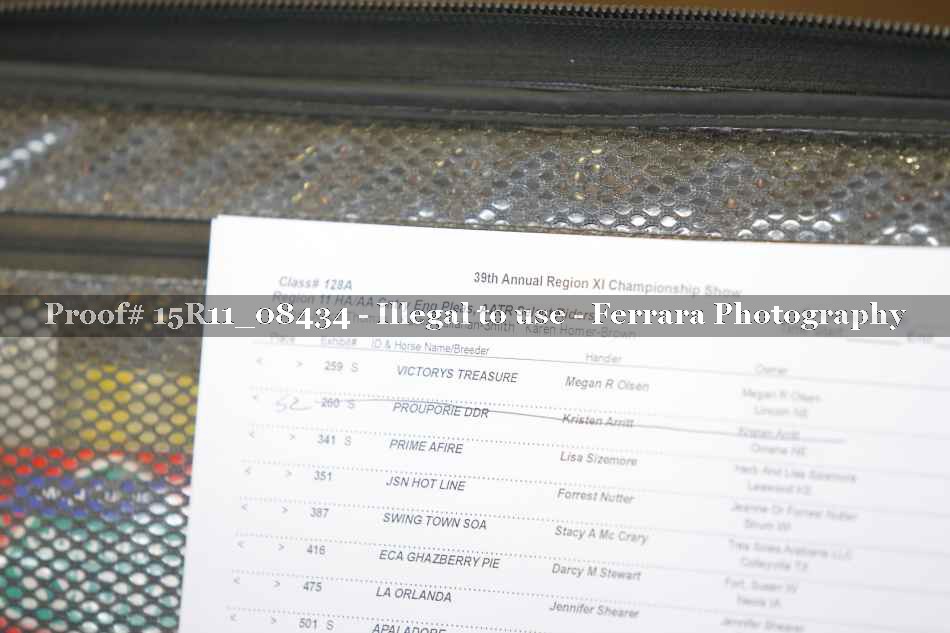 Proof 15R11_08434