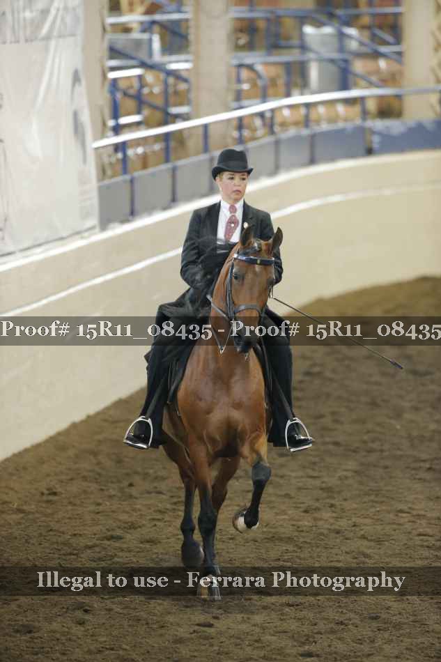 Proof 15R11_08435