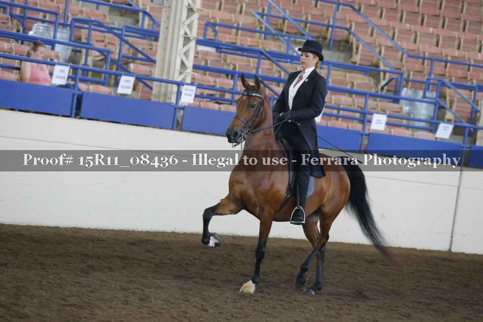 Proof 15R11_08436