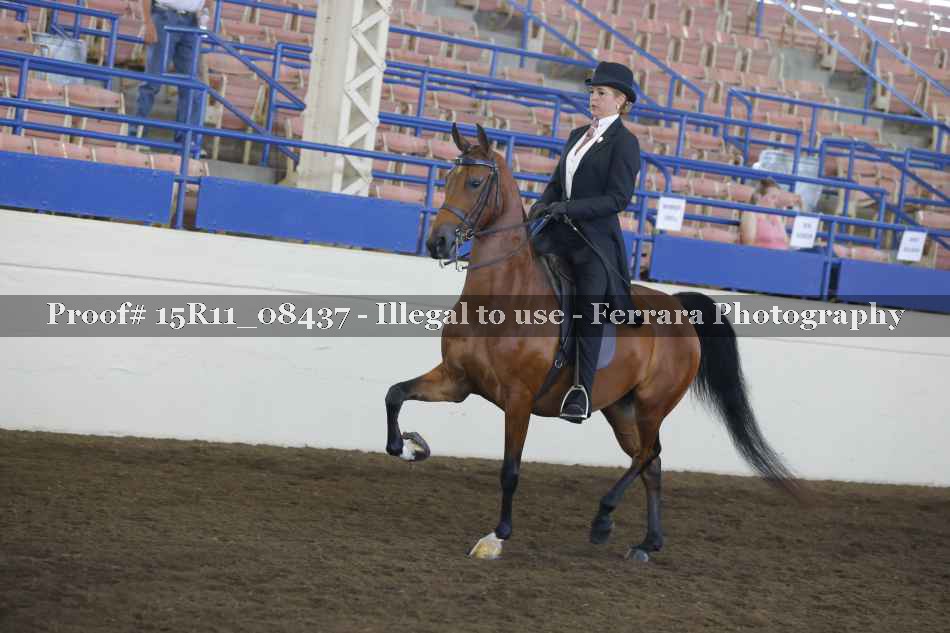 Proof 15R11_08437