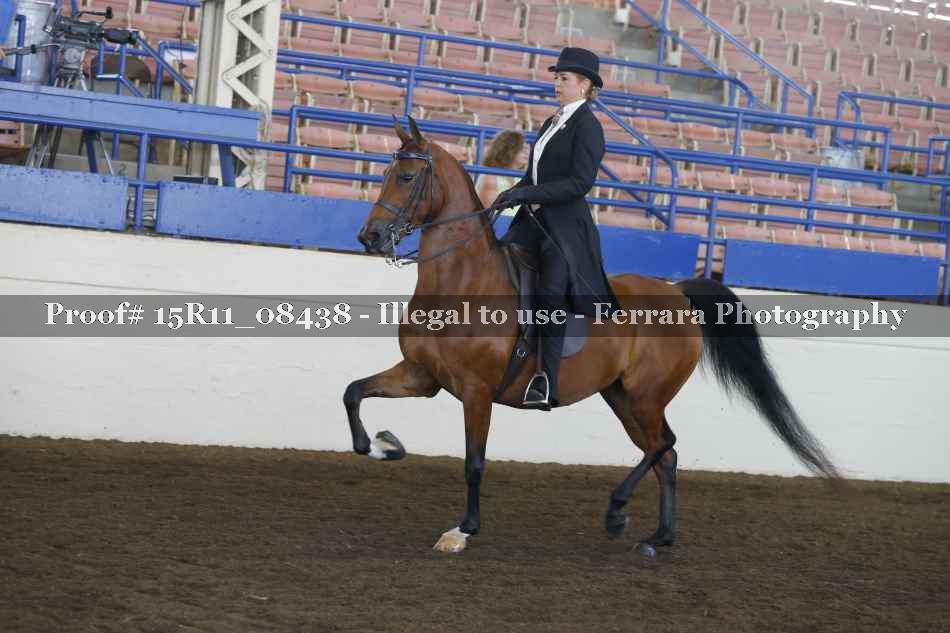 Proof 15R11_08438