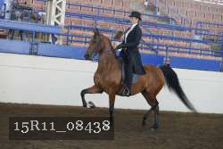 15R11_08438 proof