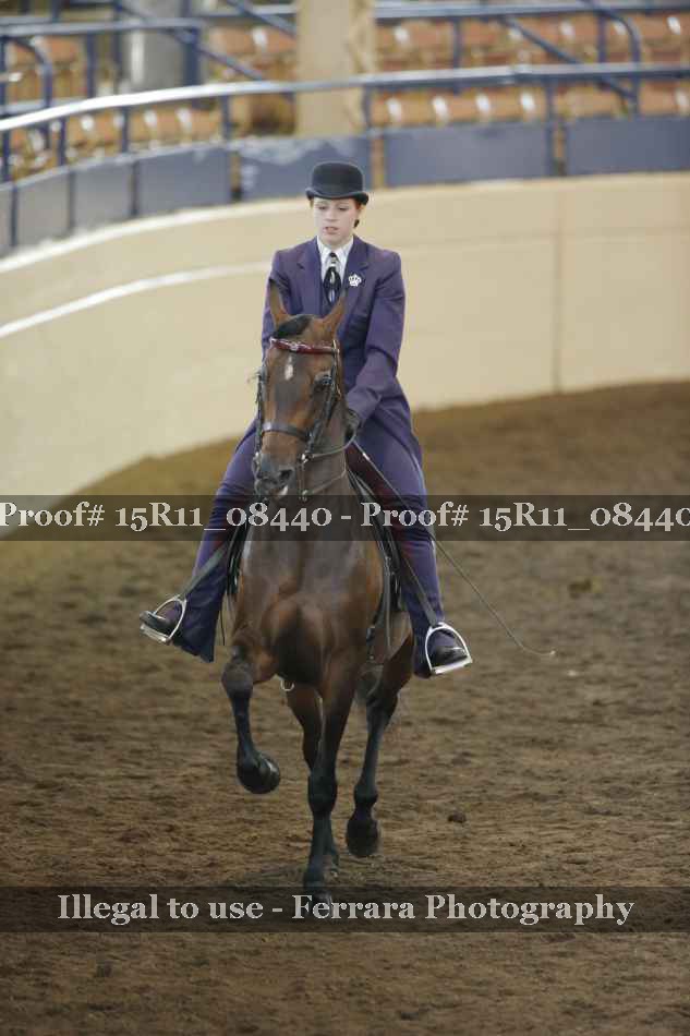 Proof 15R11_08440