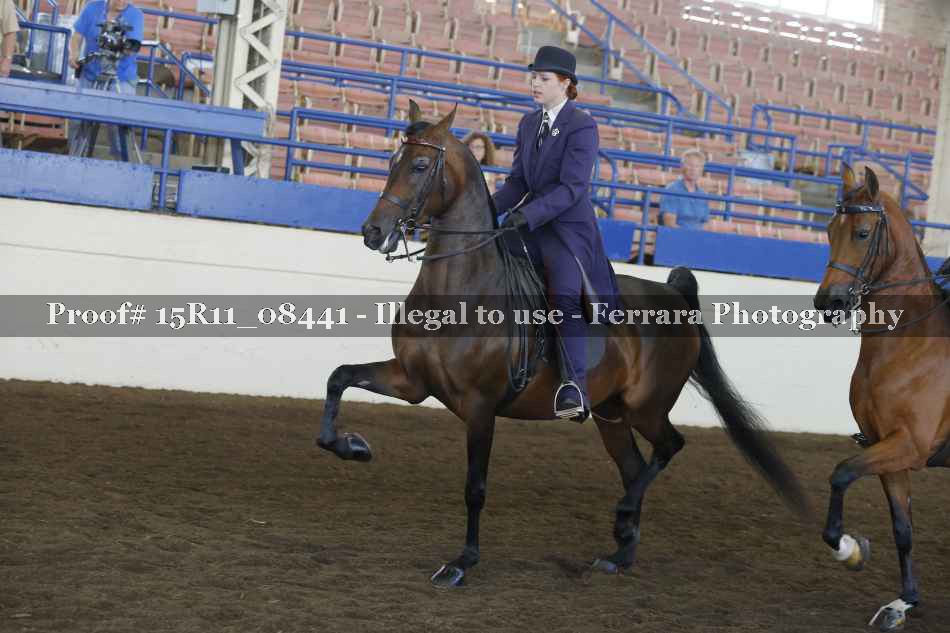 Proof 15R11_08441