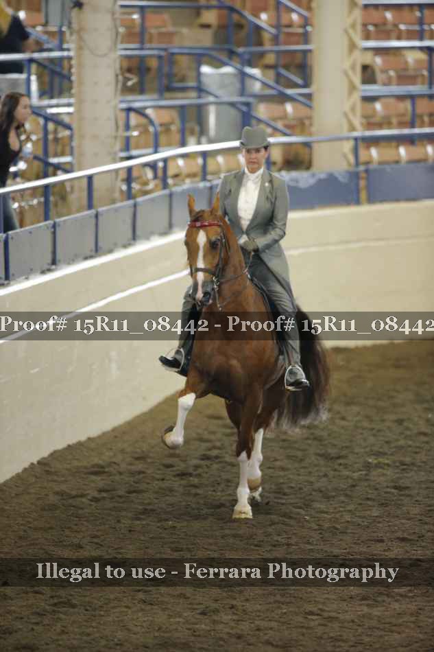 Proof 15R11_08442