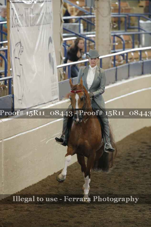 Proof 15R11_08443