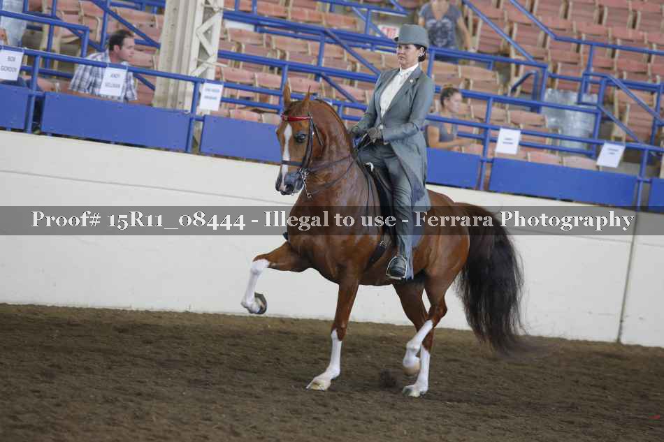 Proof 15R11_08444